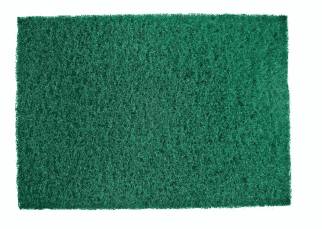 Grøn pad